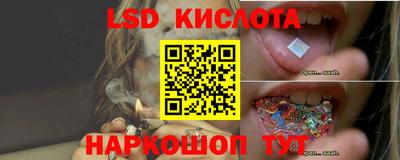 PSILOCYBIN Новодвинск
