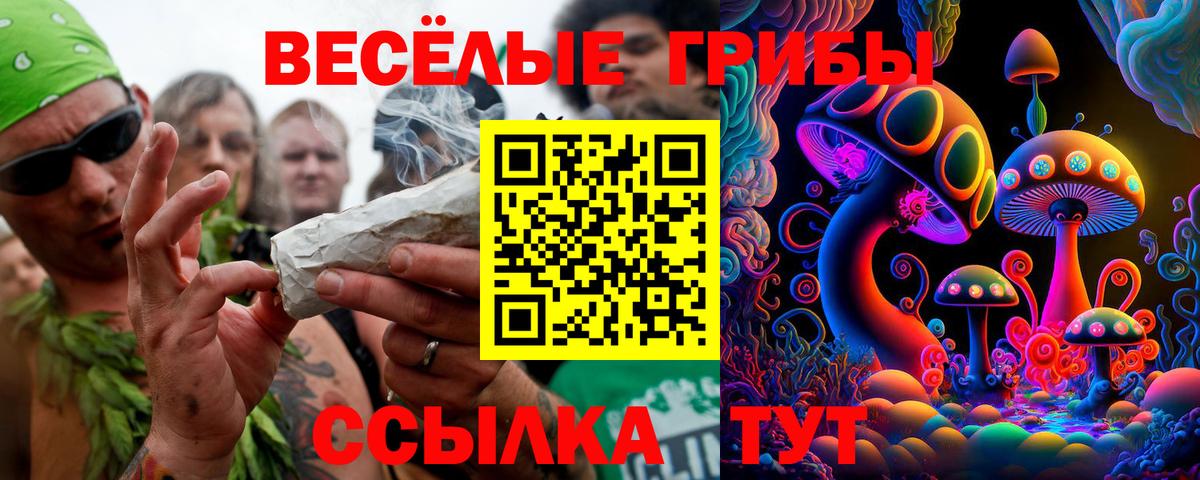 Псилоцибиновые грибы мицелий  Вход с VPN  Галлюциногенные грибы Psilocybe  Энгельс 