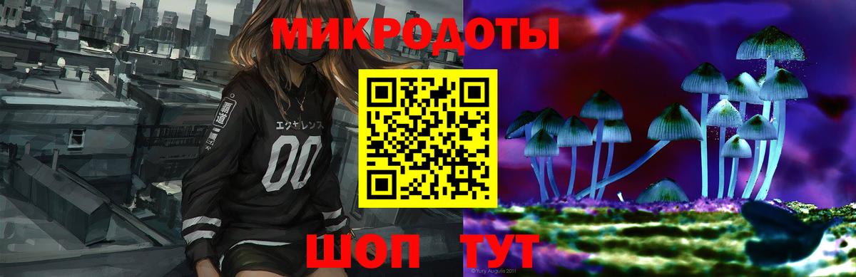 Галлюциногенные грибы Psilocybine cubensis Энгельс